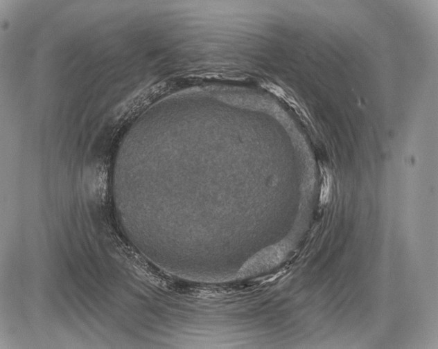 X0000085260697200703161404