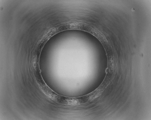 X0000085260698200703161404