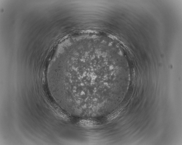 X0000085260699200703161404