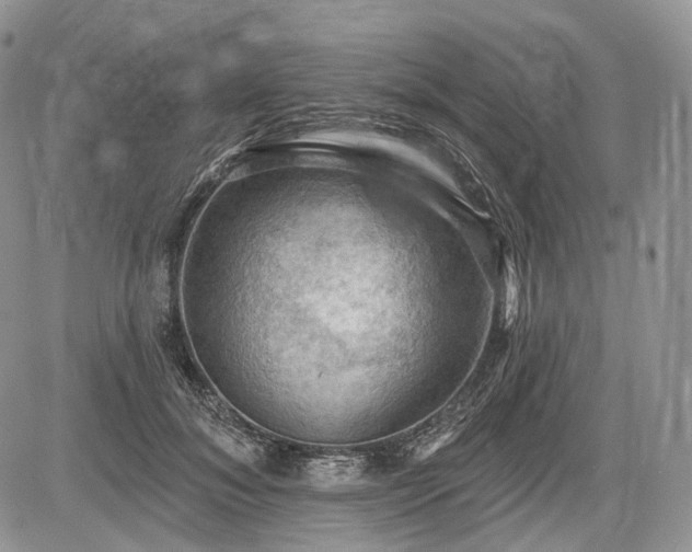 X0000085260700200703161404