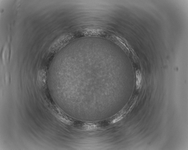 X0000085260701200703161404