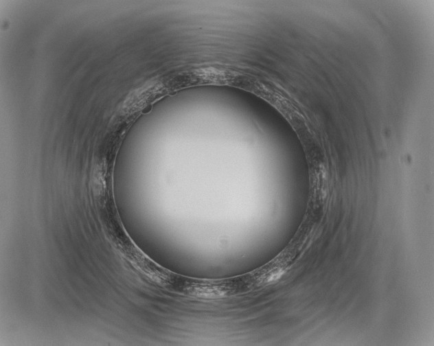 X0000085260702200703161404