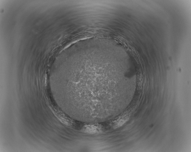 X0000085260703200703161404