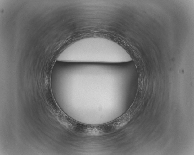 X0000085260704200703161404