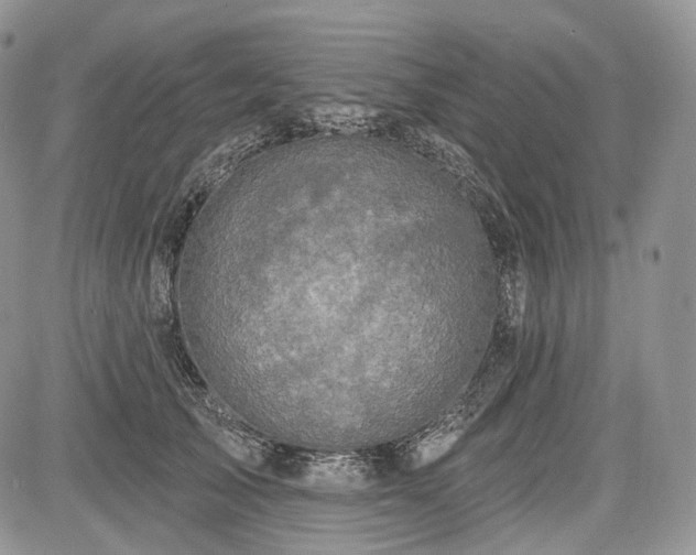 X0000085260705200703161404