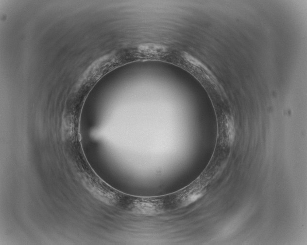 X0000085260706200703161404