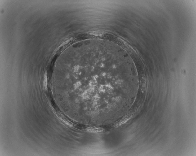 X0000085260707200703161404