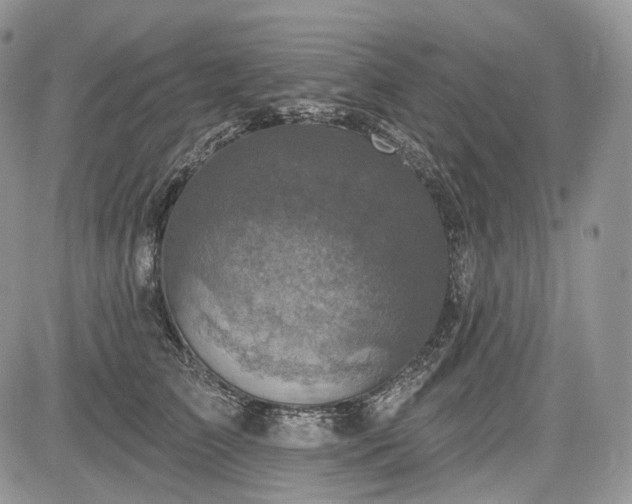 X0000085260709200703161404