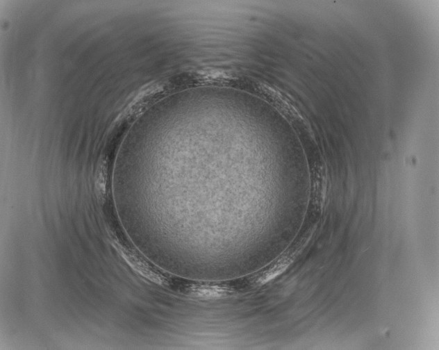 X0000085260710200703161404