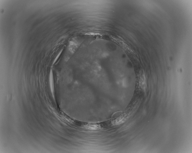 X0000085260711200703161404