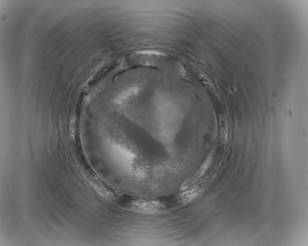 X0000085260712200703161404