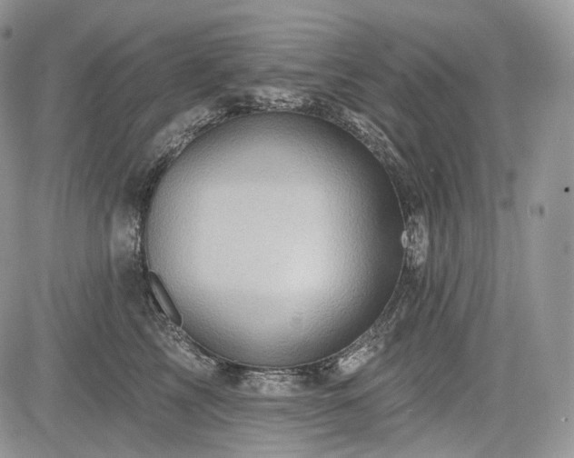 X0000085260713200703161404