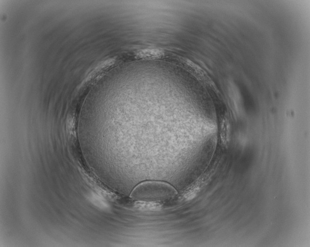 X0000085260714200703161404