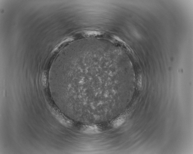 X0000085260715200703161404