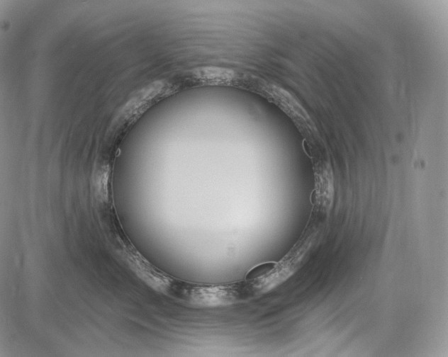 X0000085260717200703161404