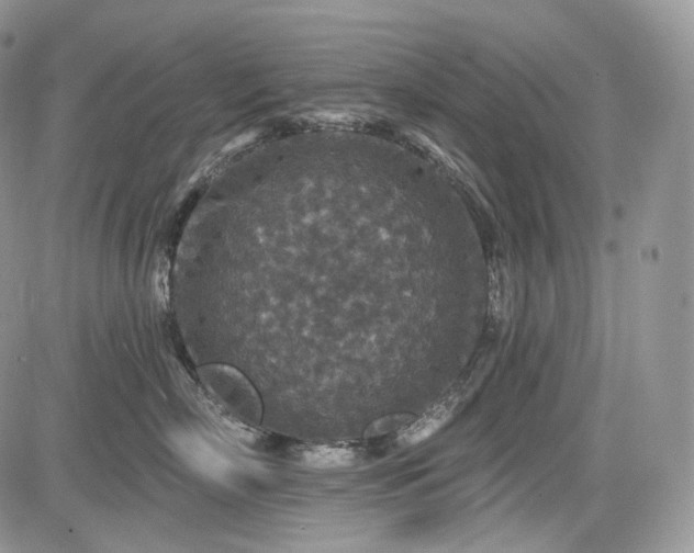 X0000085260718200703161404