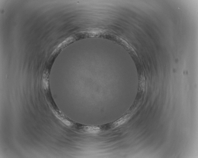 X0000085260719200703161404