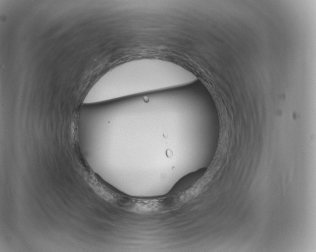 X0000085260720200703161404