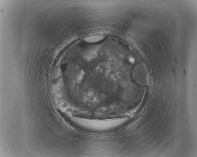 X0000085260721200703161403