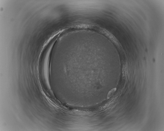 X0000085260722200703161403