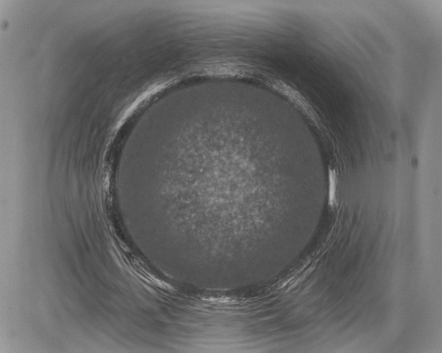 X0000085260723200703161403