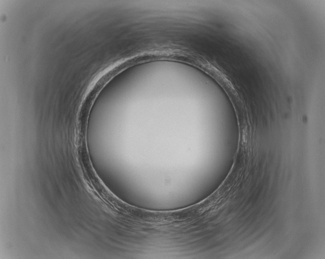 X0000085260724200703161403