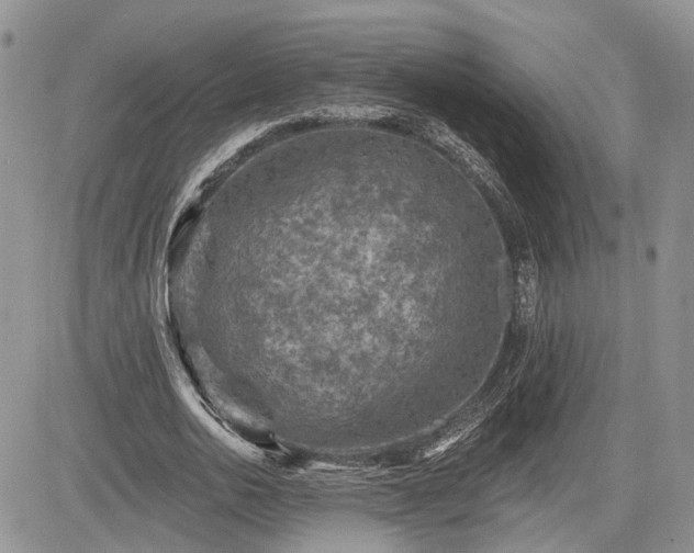 X0000085260726200703161403