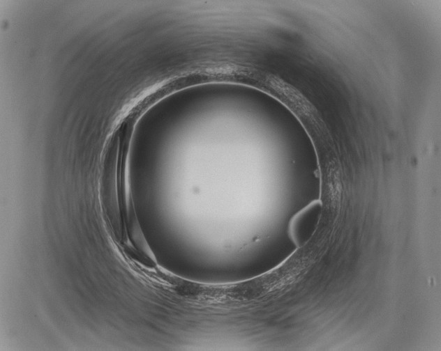 X0000085260728200703161403