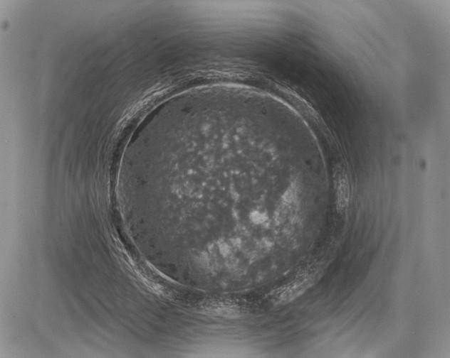 X0000085260729200703161403