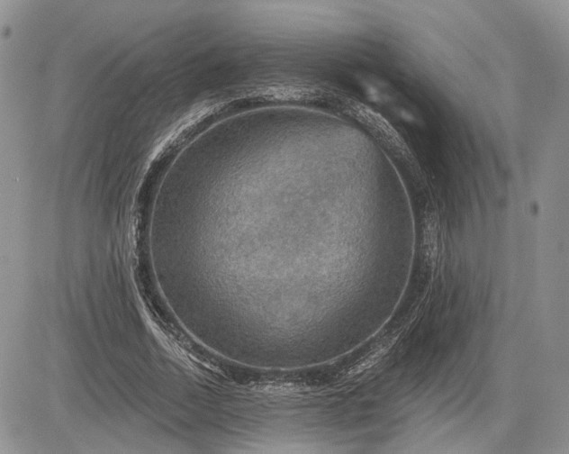 X0000085260730200703161403