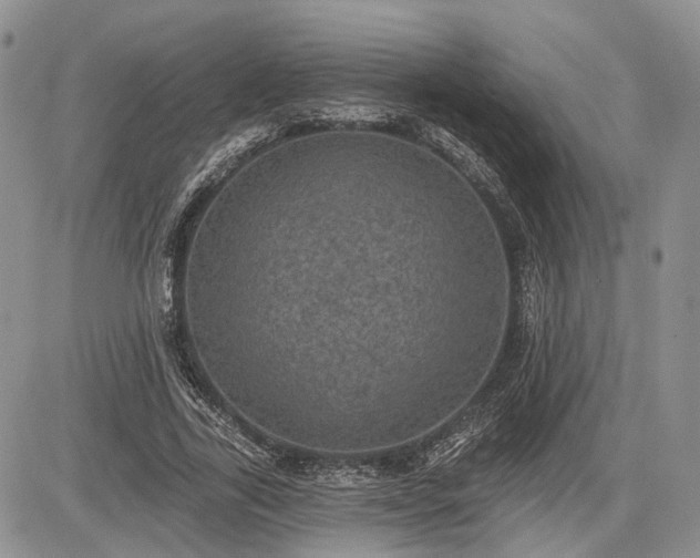 X0000085260731200703161403