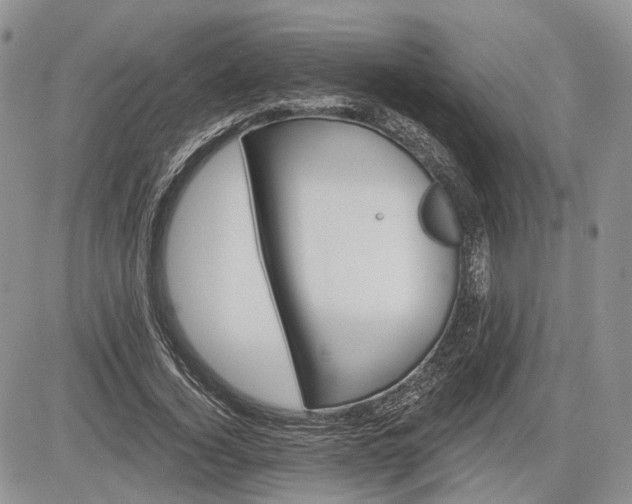 X0000085260732200703161403