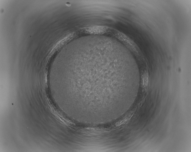 X0000085260733200703161403