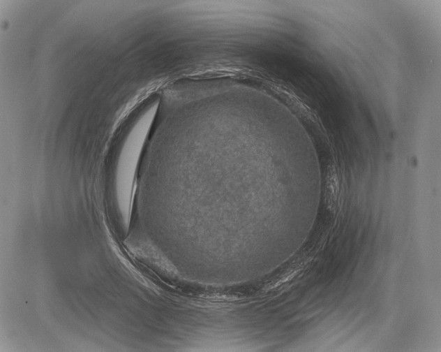 X0000085260734200703161403