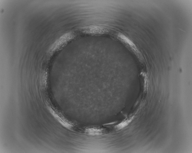 X0000085260735200703161403