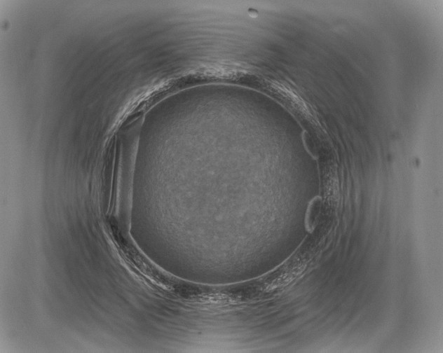 X0000085260736200703161403