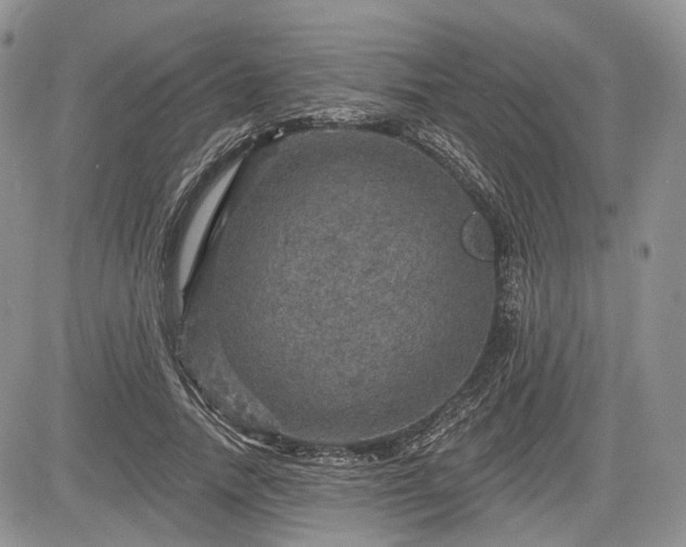 X0000085260738200703161403