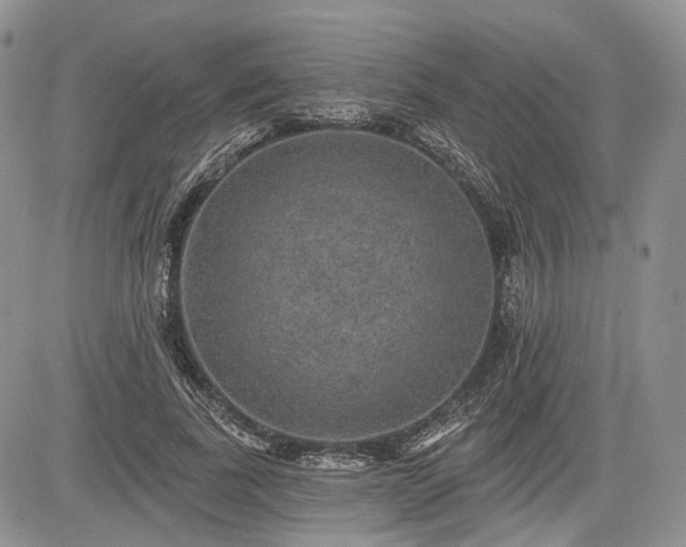 X0000085260739200703161403