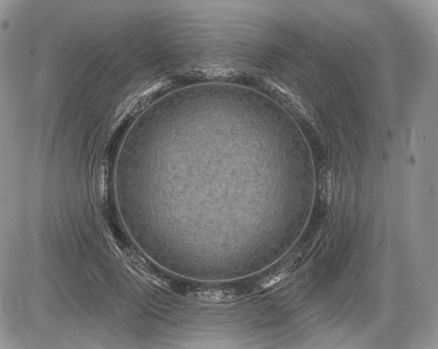 X0000085260740200703161403