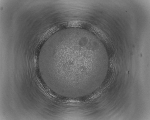 X0000085260741200703161403