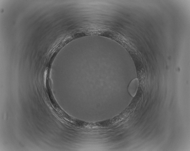 X0000085260742200703161403