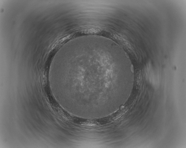 X0000085260743200703161403