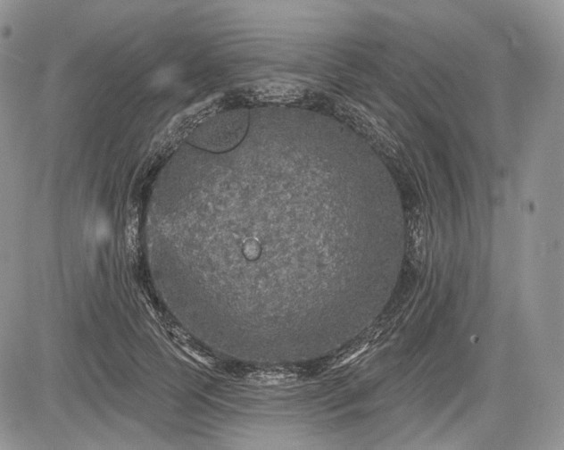 X0000085260745200703161403