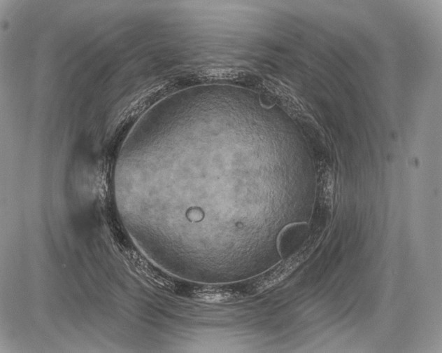 X0000085260746200703161403