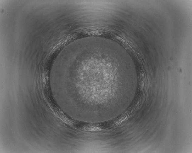 X0000085260747200703161403