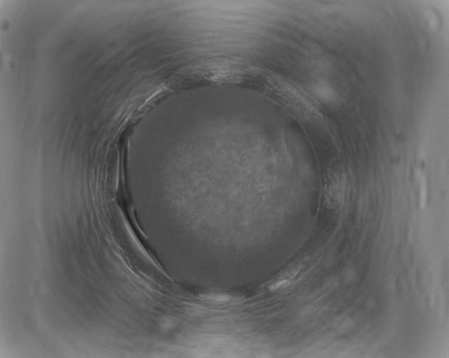 X0000085260748200703161403