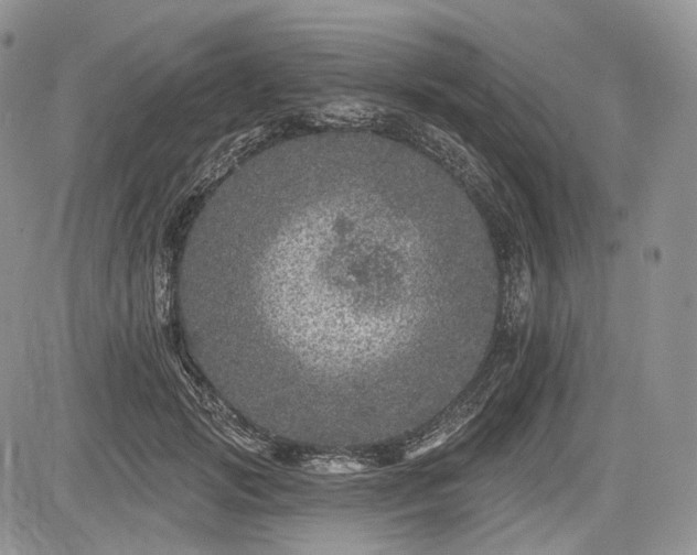 X0000085260749200703161403