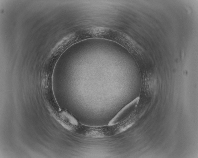 X0000085260750200703161403