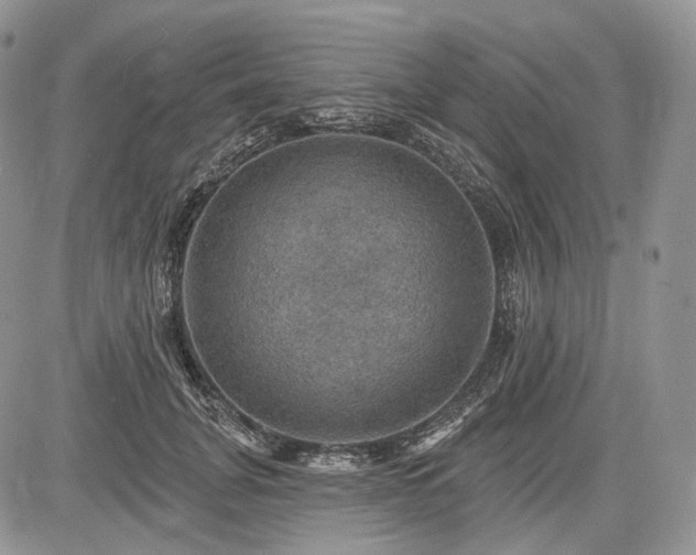 X0000085260751200703161403