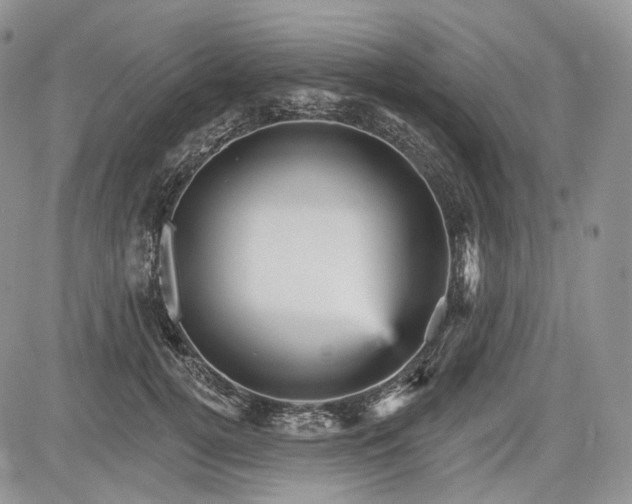 X0000085260752200703161403